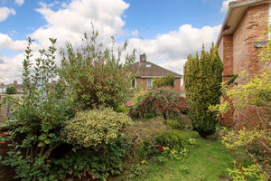 Photo 11- click for photo gallery